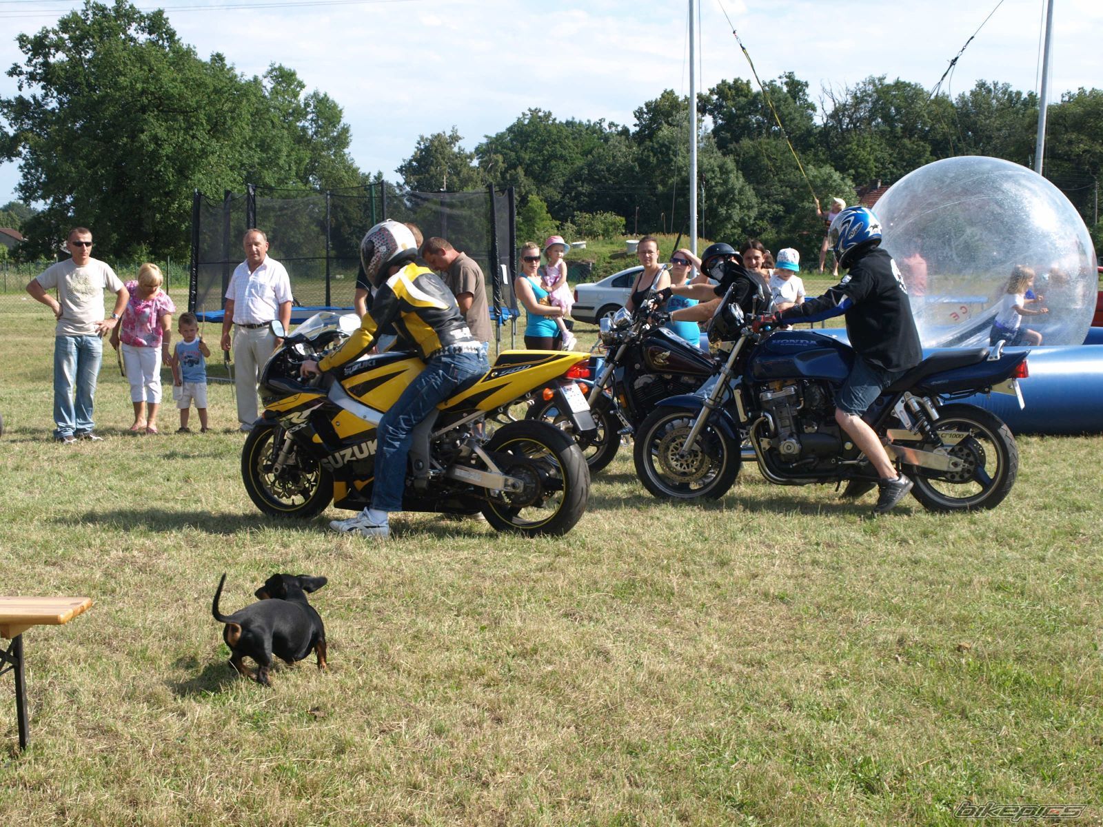 Photo 2237446