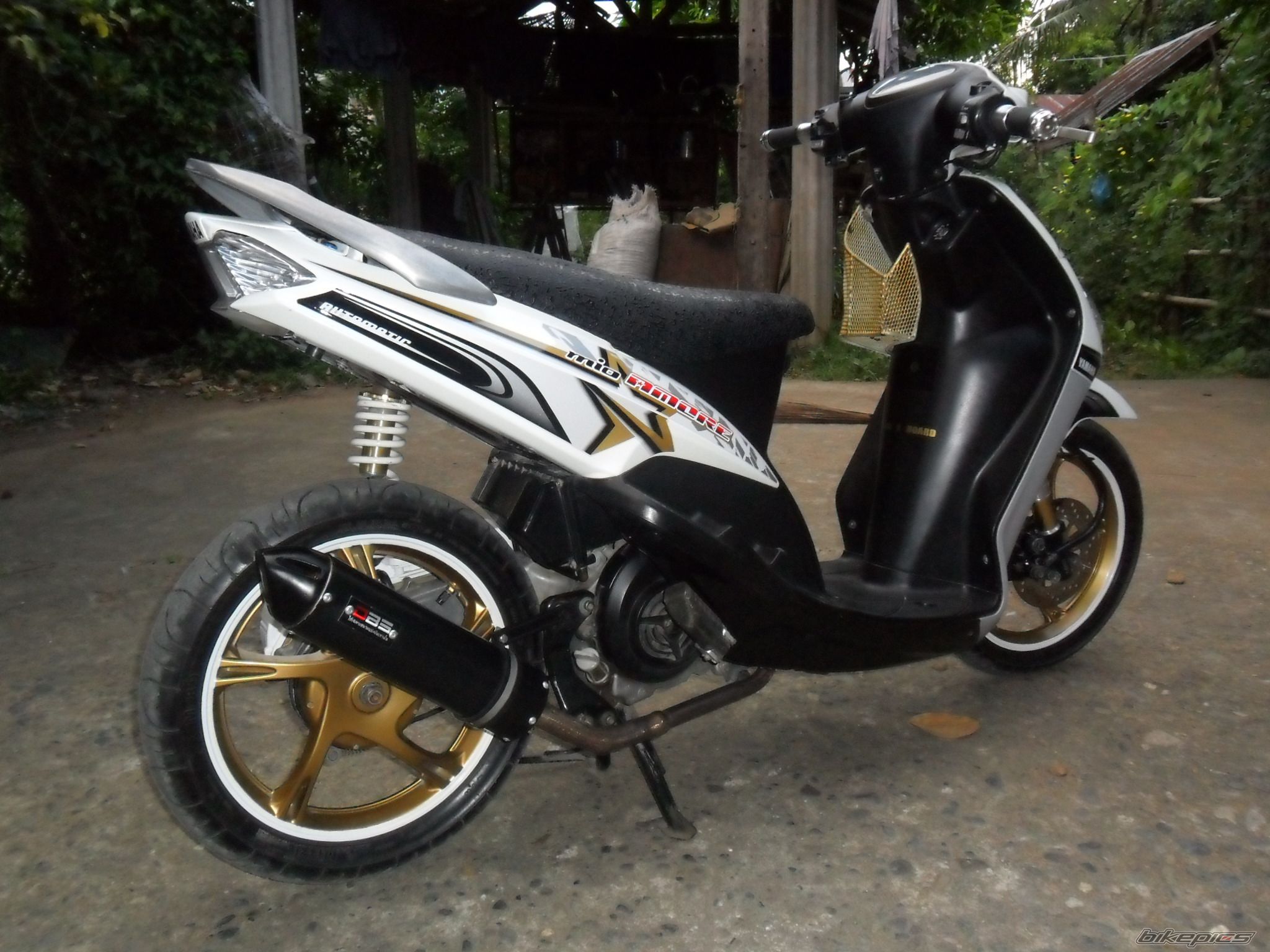 Photo 2238146