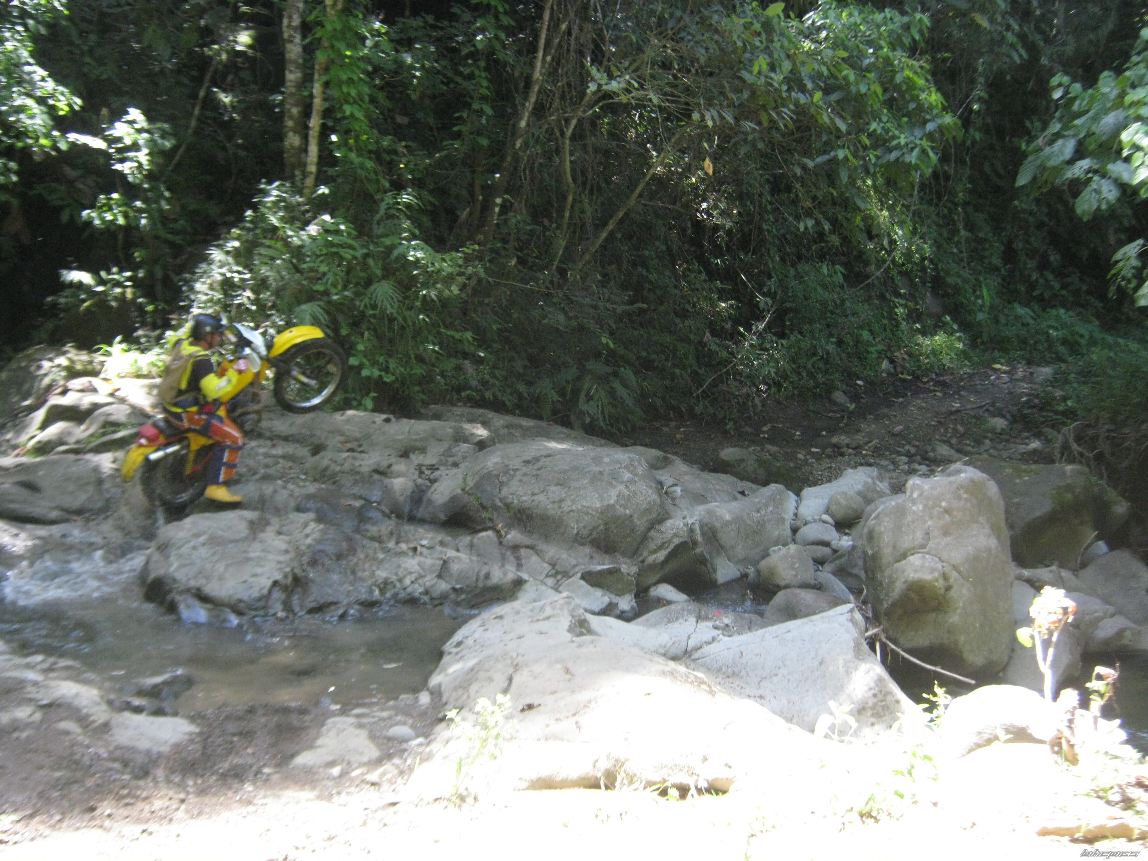 Photo 2239428