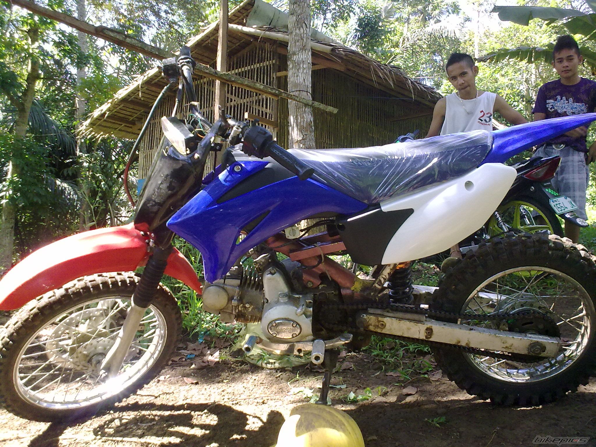 Photo 2239436