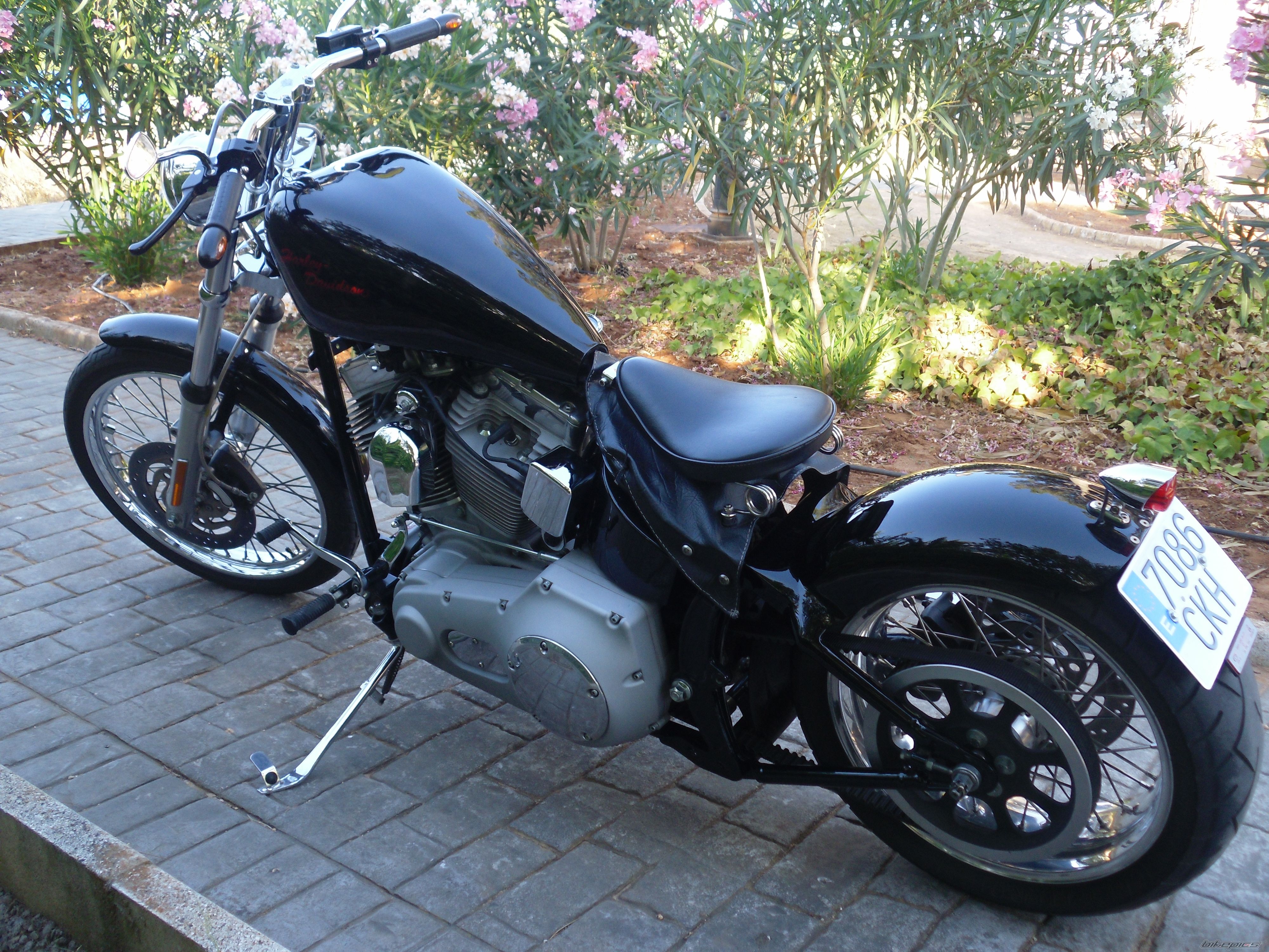 Photo 2241287