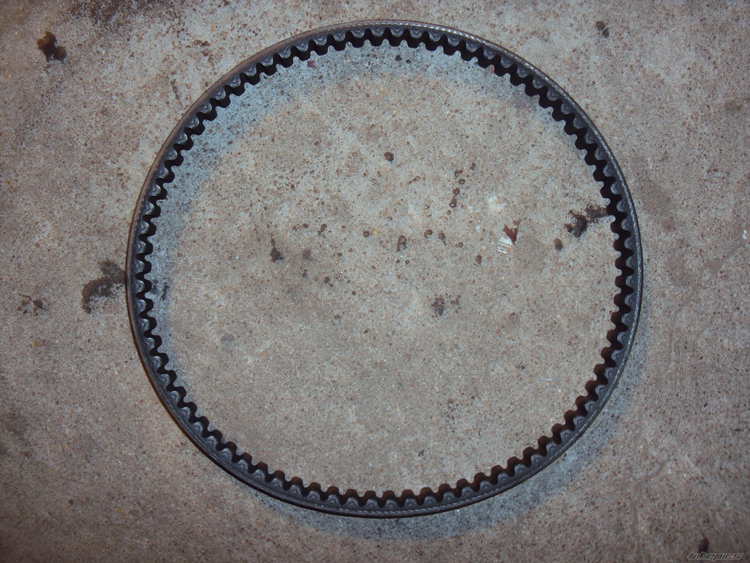 Photo 2247264