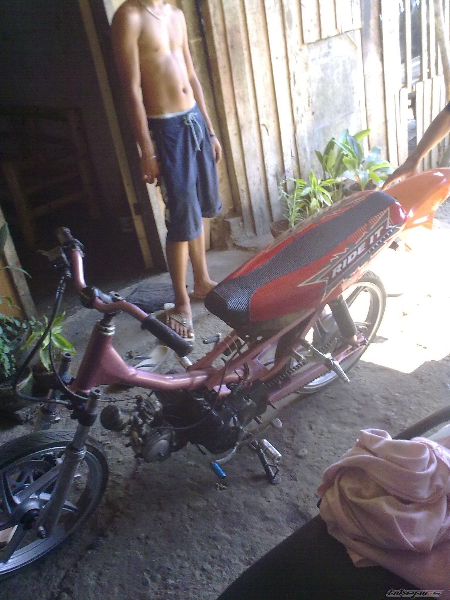 Photo 2249541