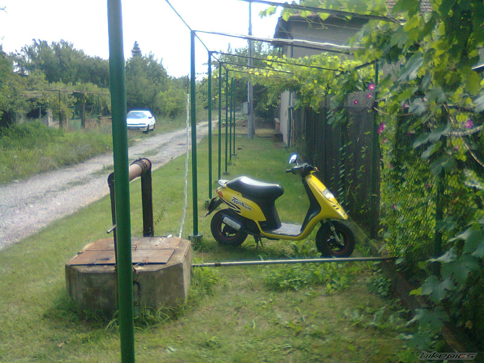 Photo 2249885
