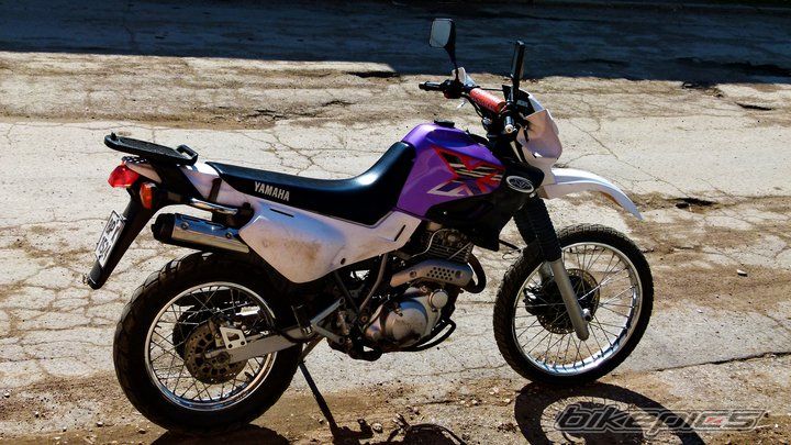 Photo 2249953