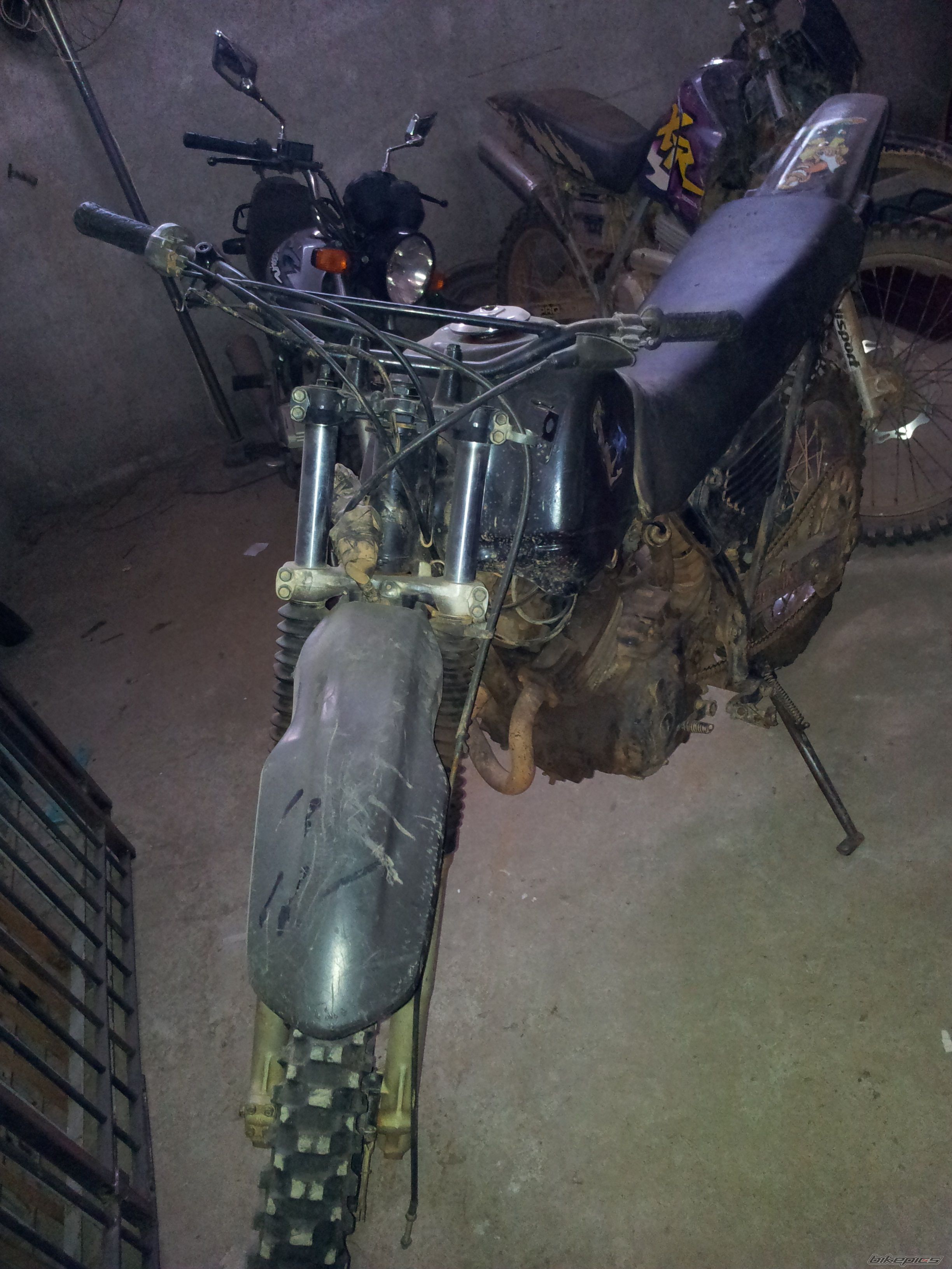 Photo 2250464