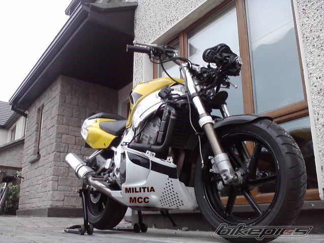 Photo 2251379