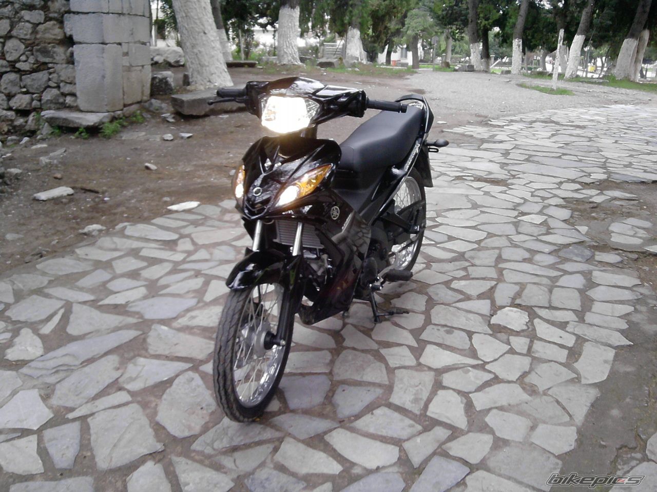 Photo 2253474