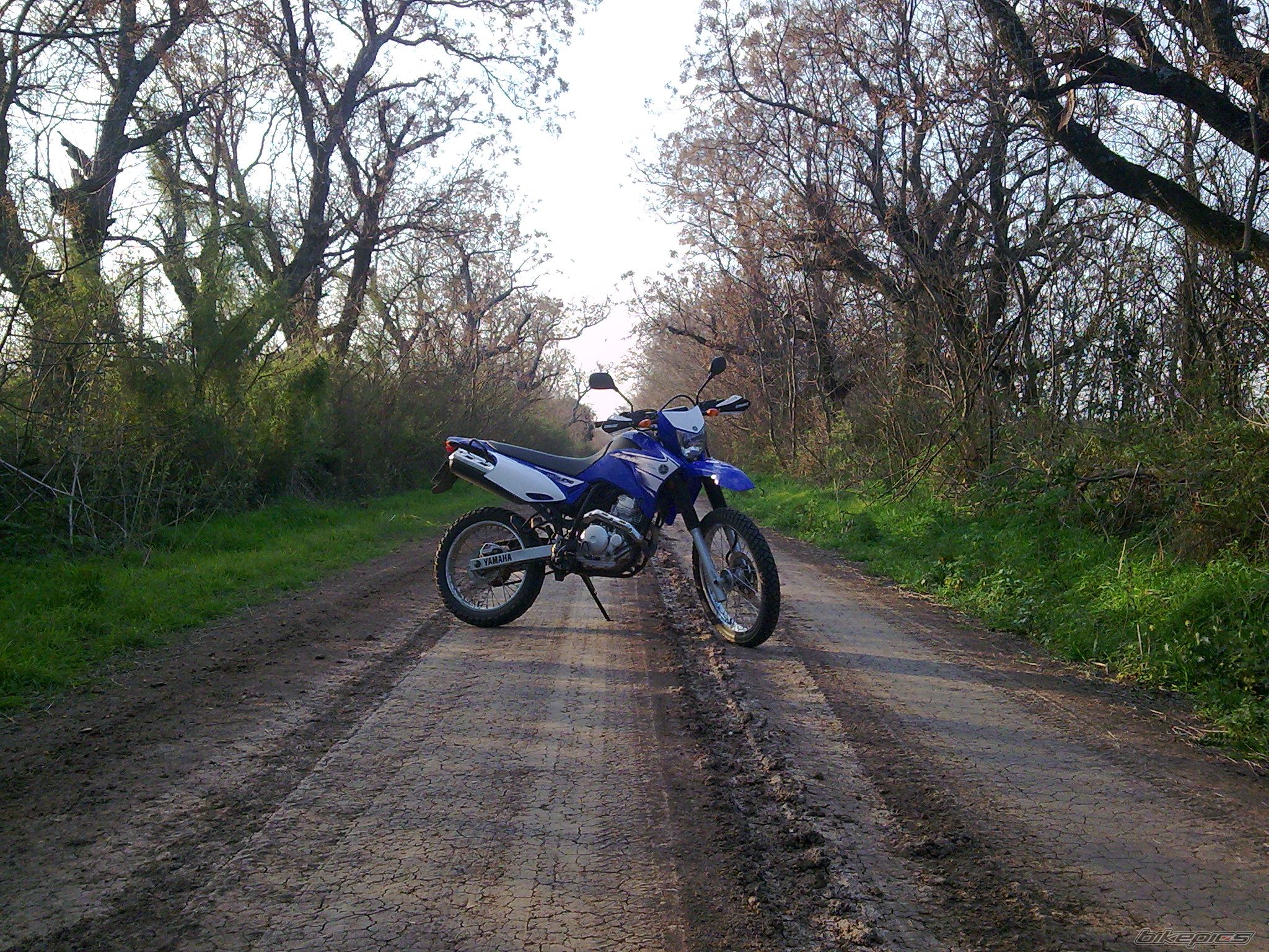 Photo 2255282