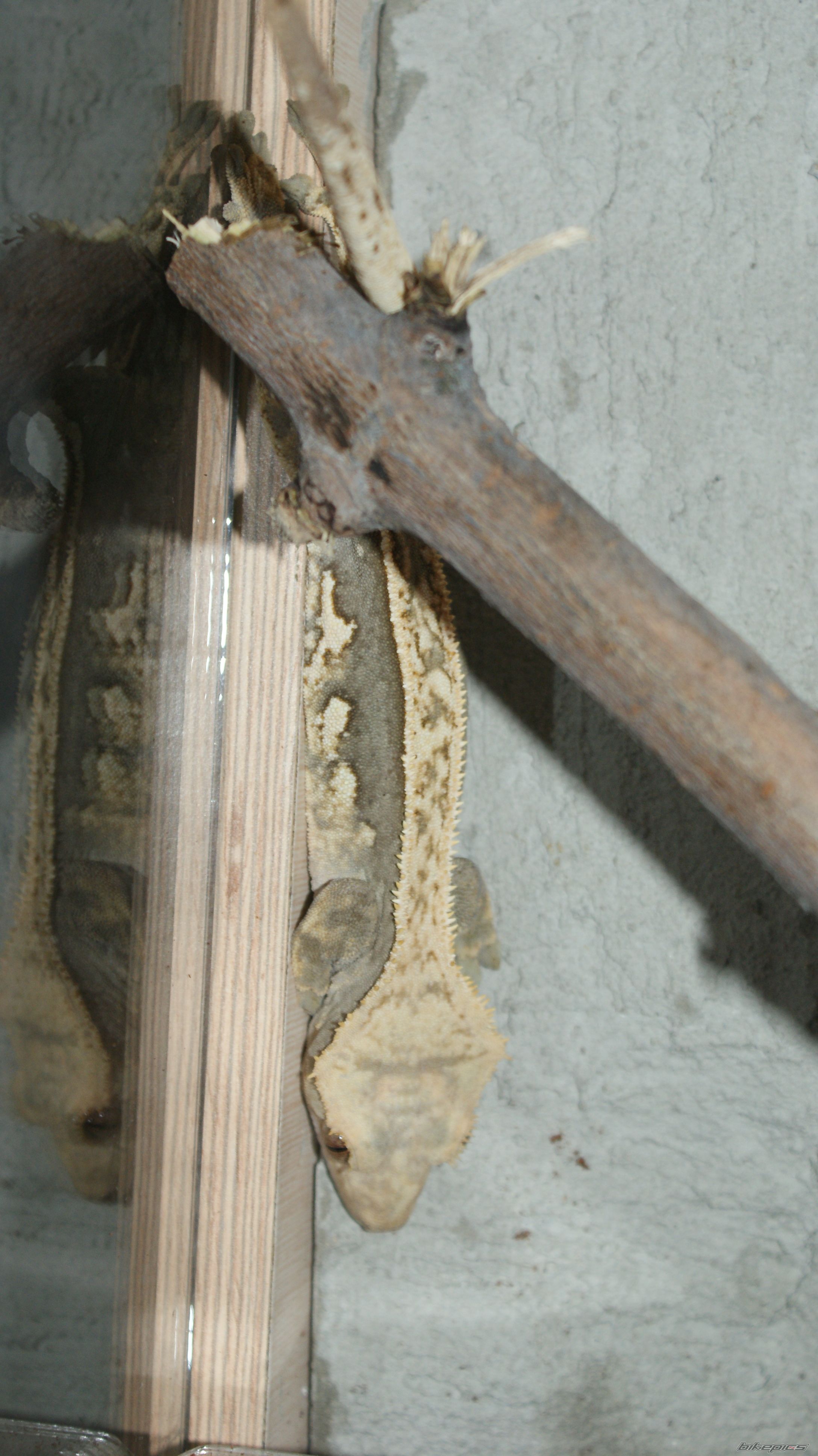 Photo 2256906