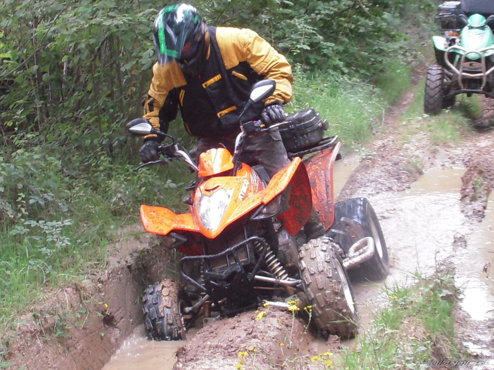 Photo 2259329