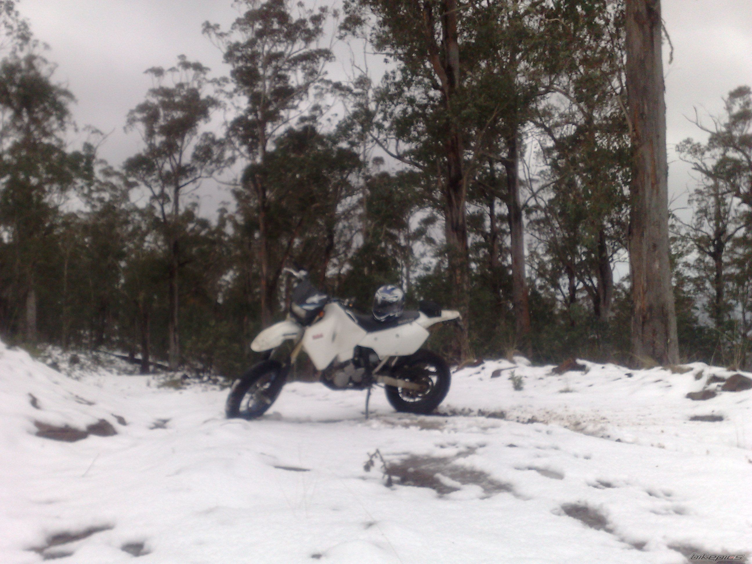 Photo 2259761