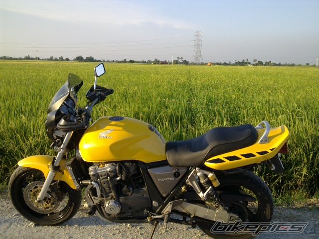 Photo 2266947