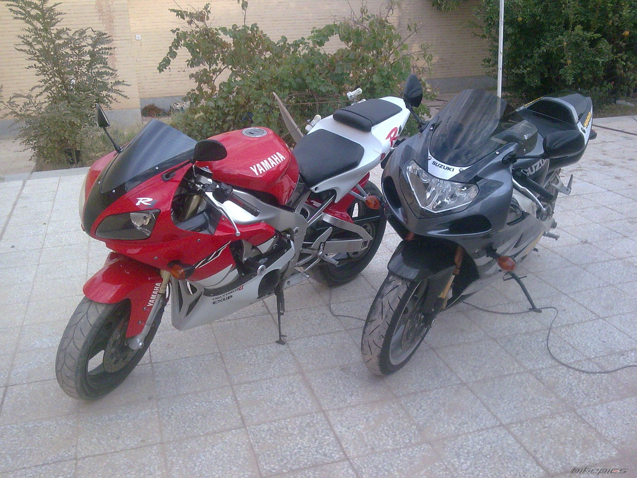 Photo 2268717