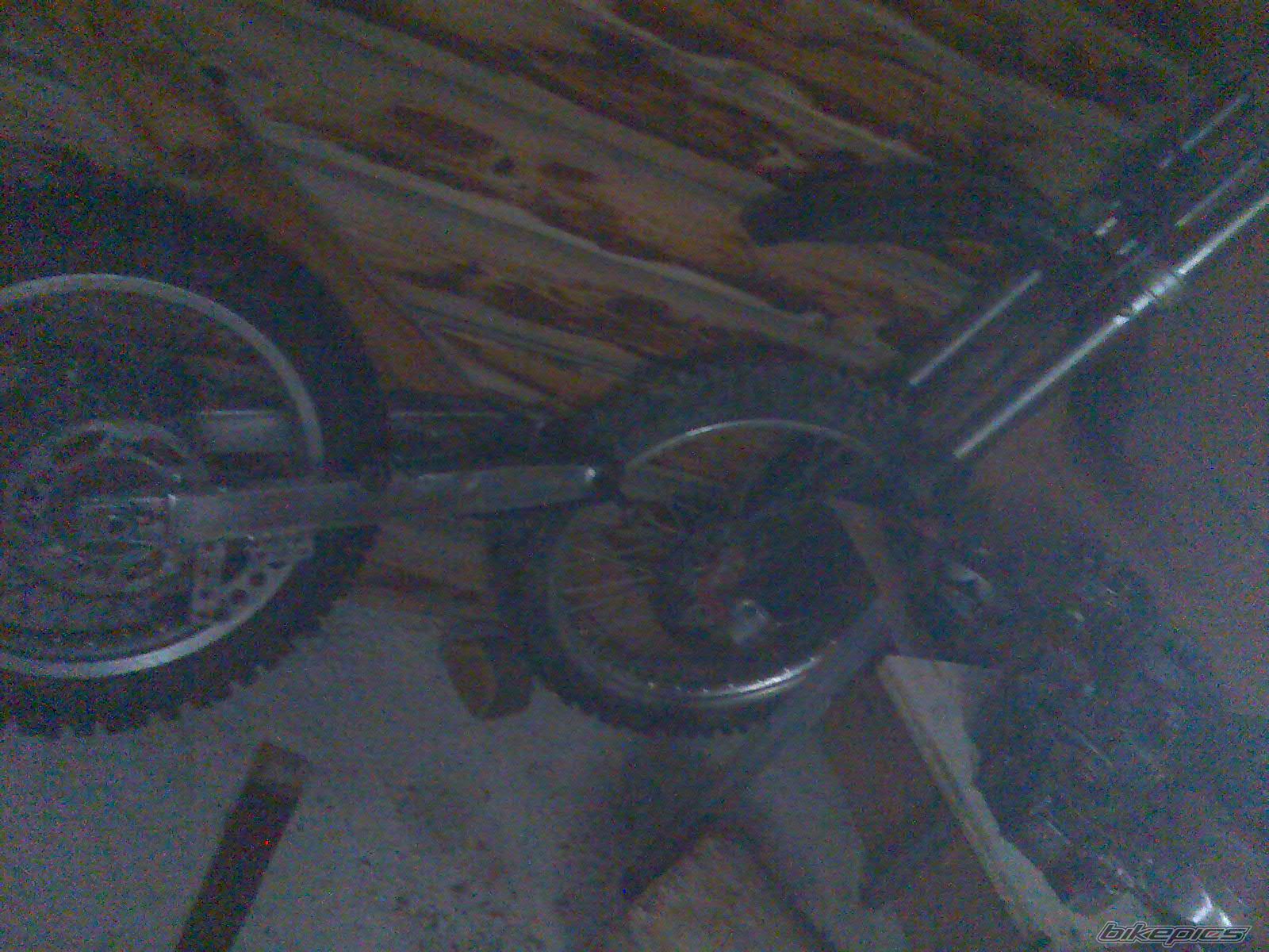 Photo 2269397
