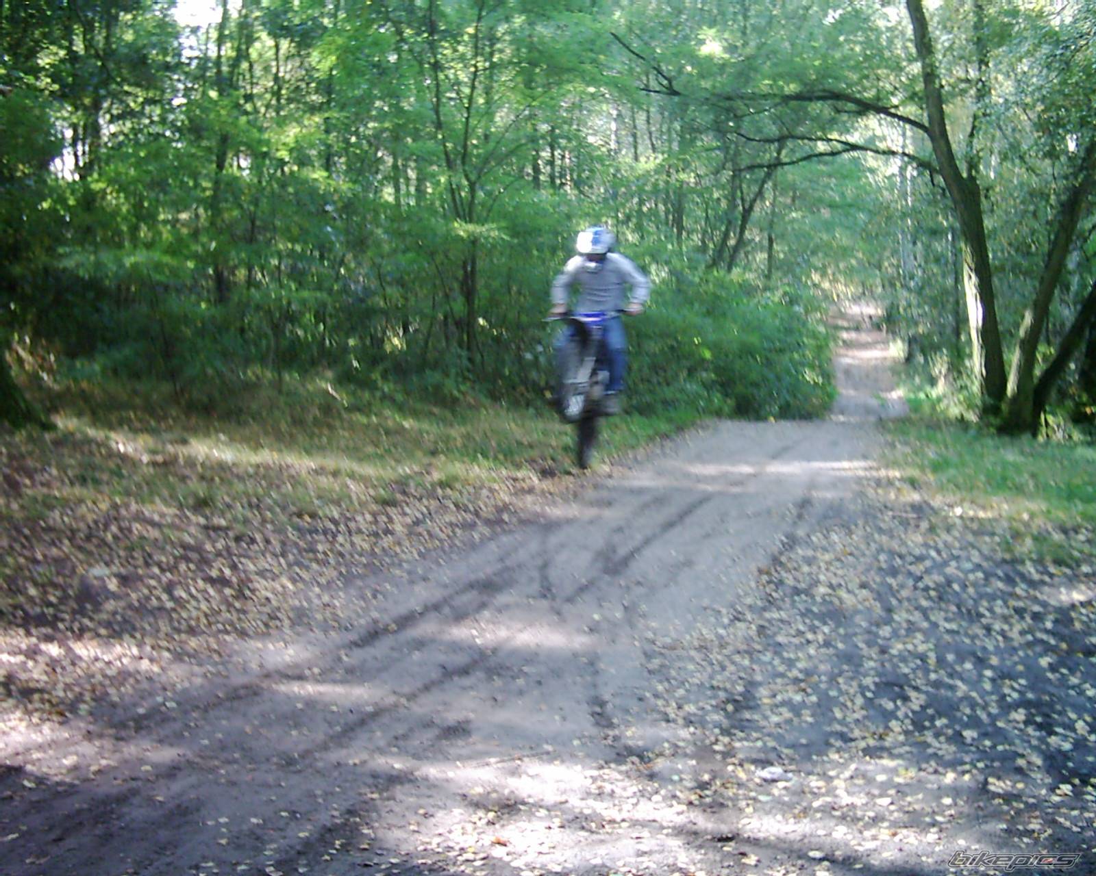 Photo 227013