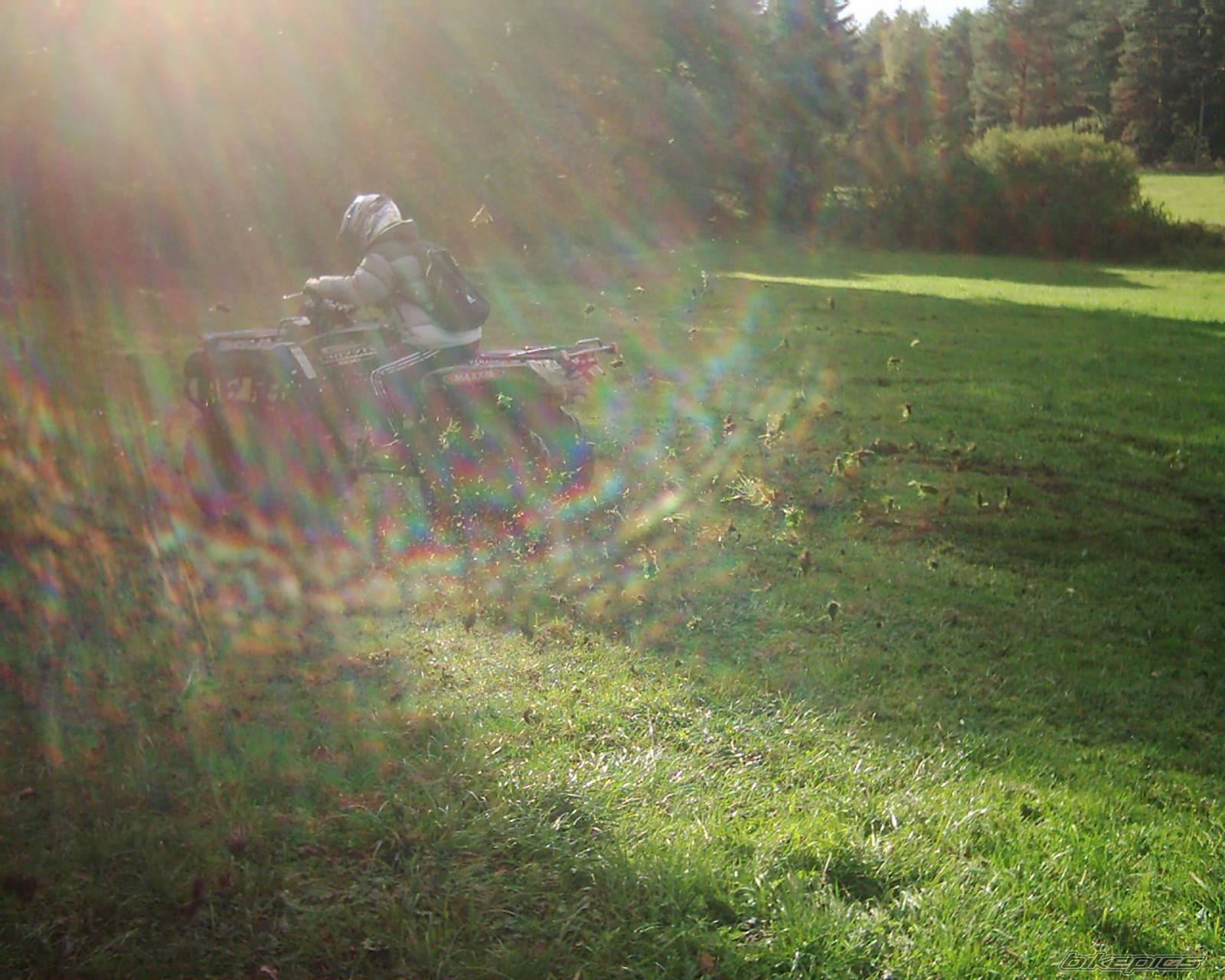 Photo 227023
