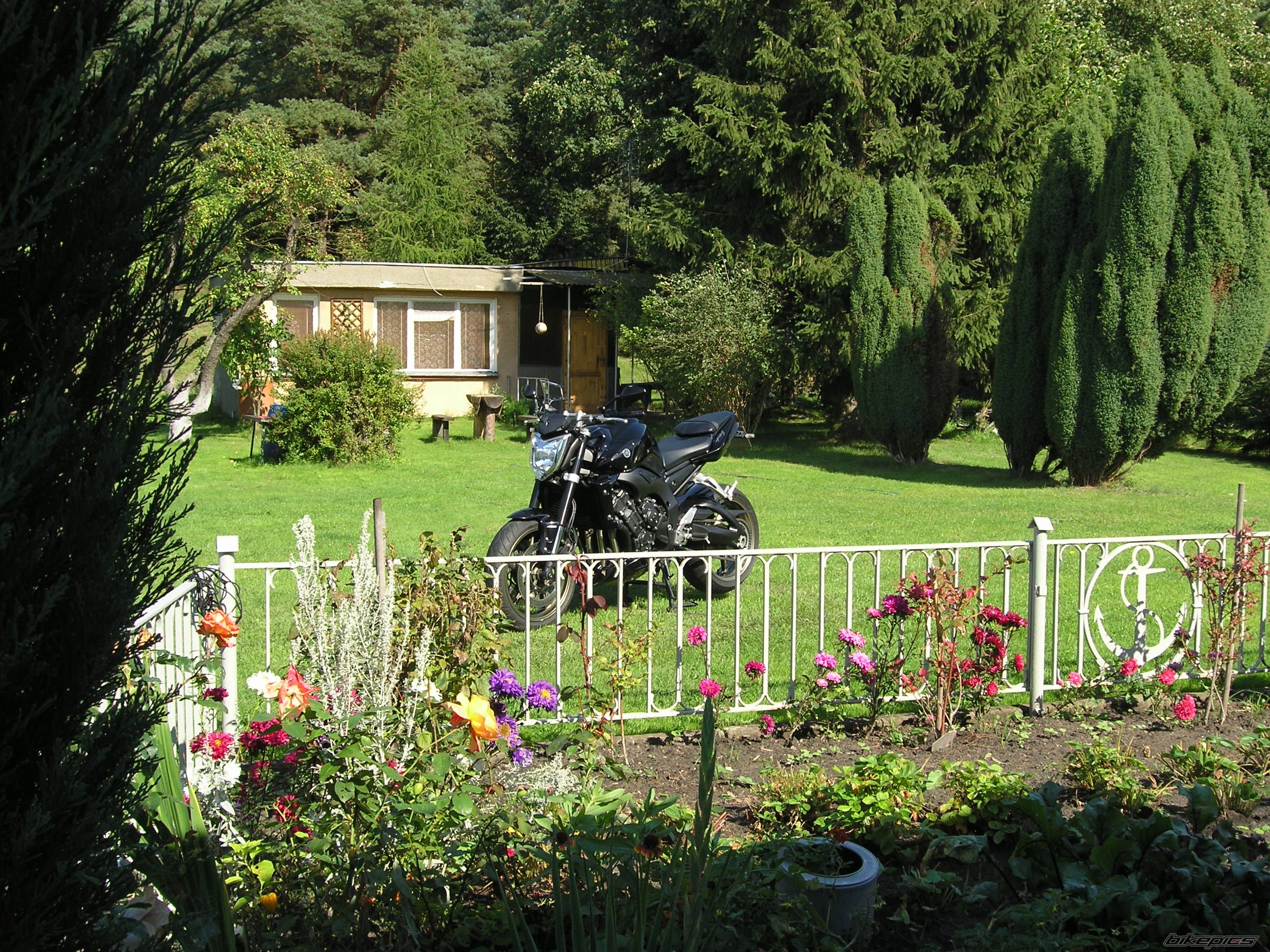 Photo 2271141