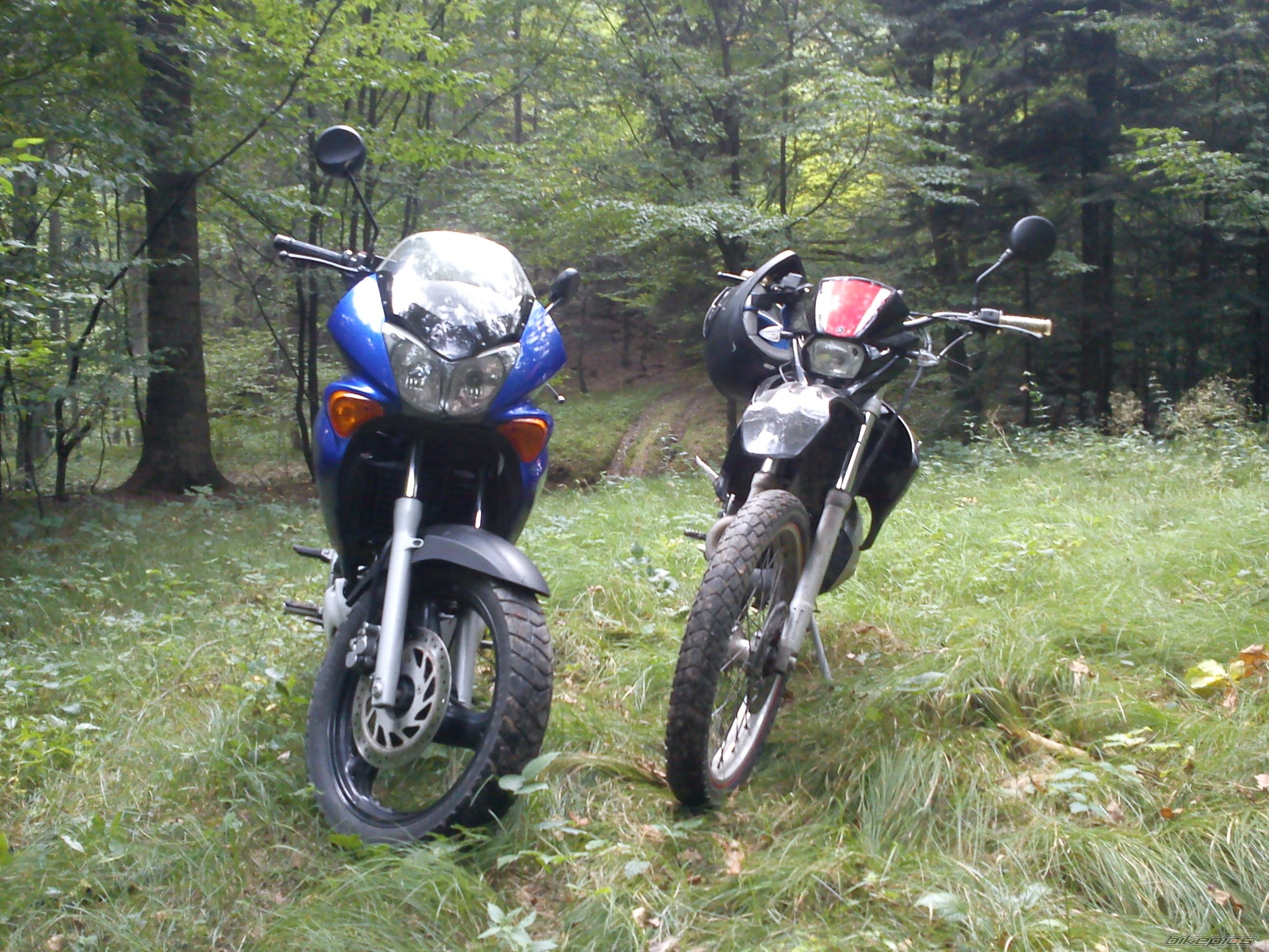 Photo 2271440
