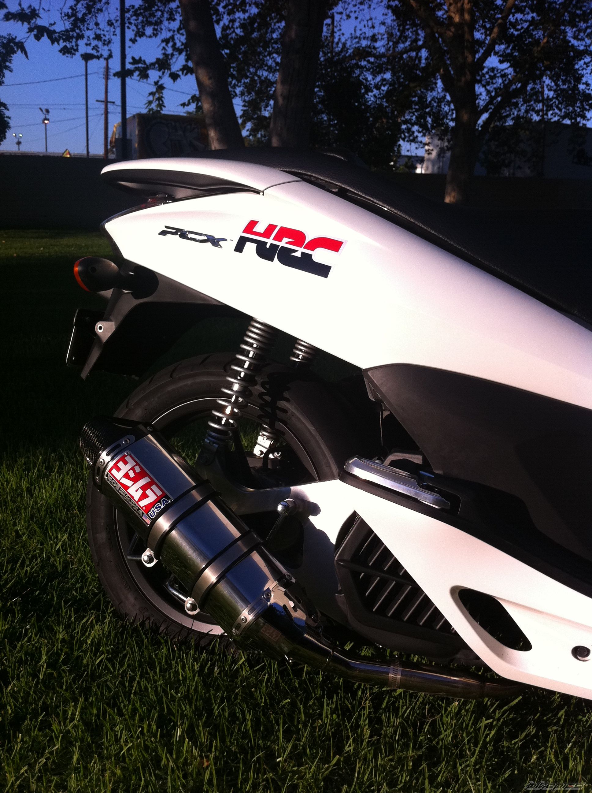 Photo 2274912