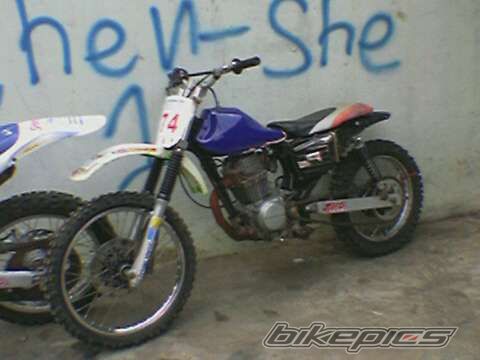 Photo 2275204