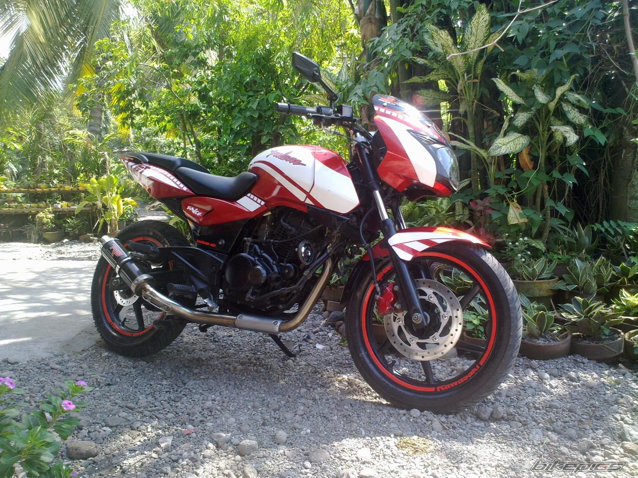 Photo 2275558