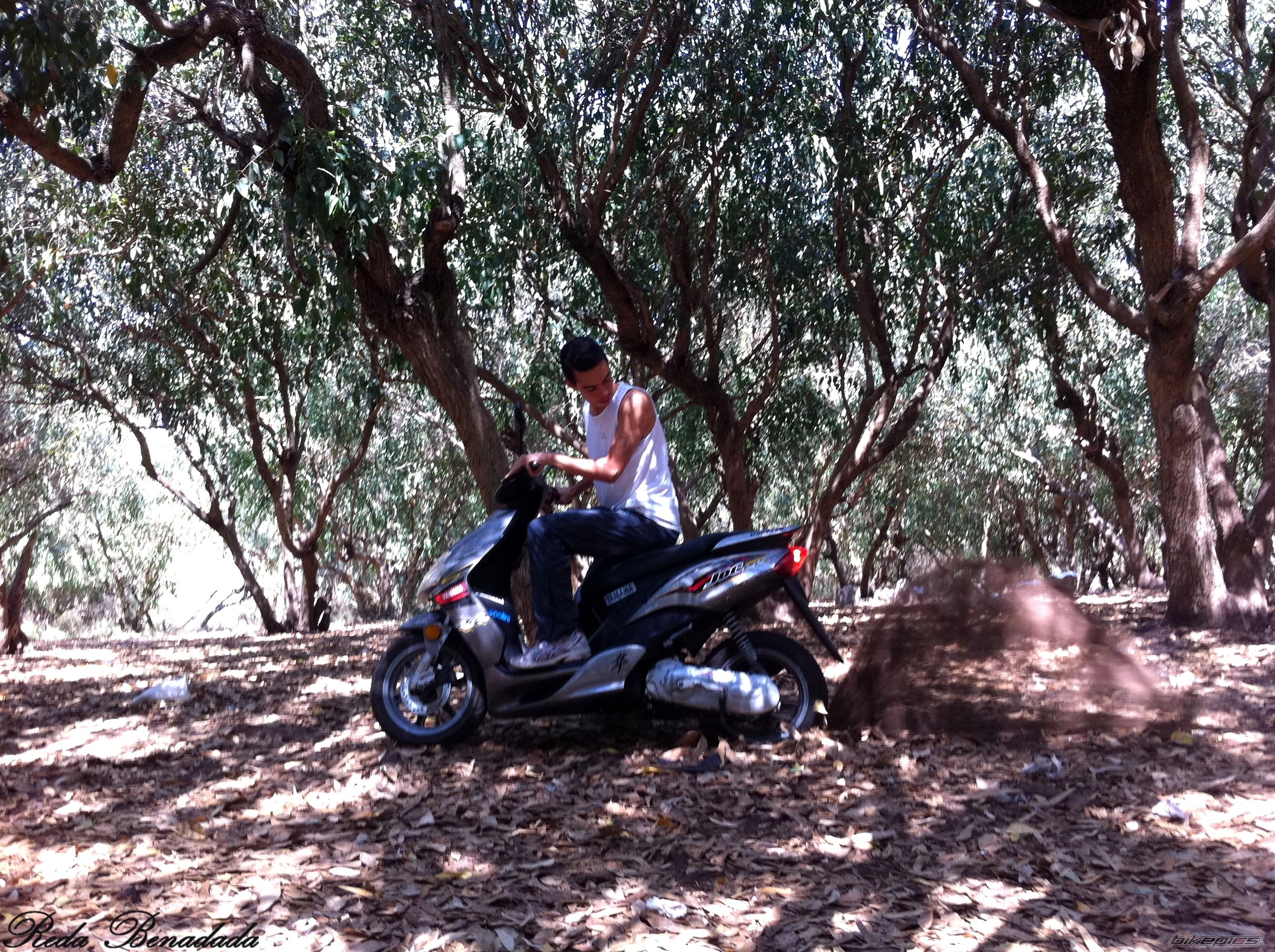 Photo 2277735