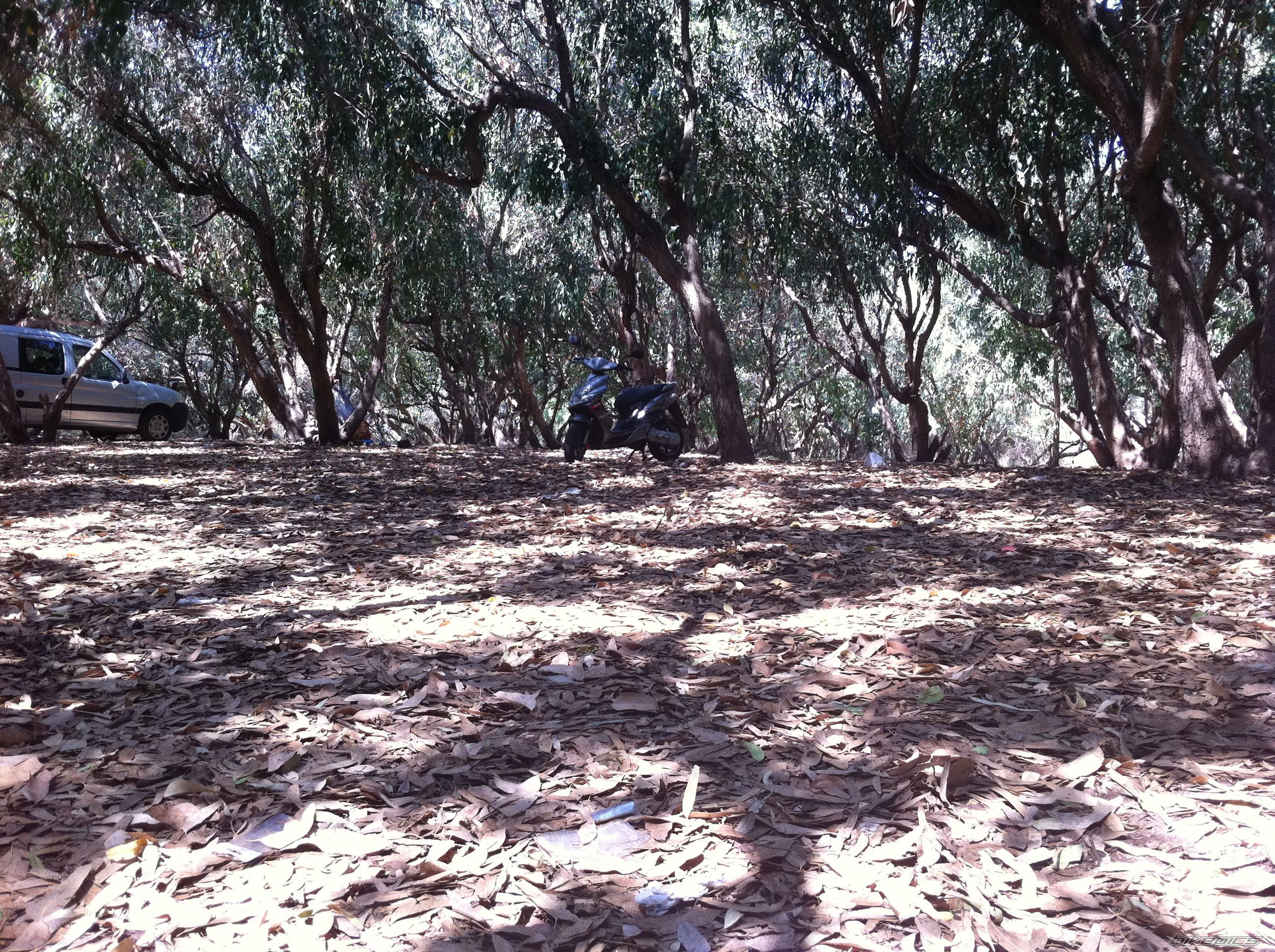 Photo 2277736