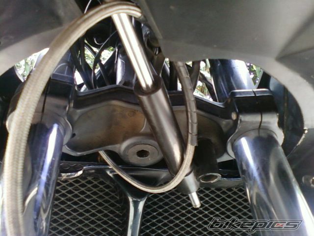 Photo 2278246