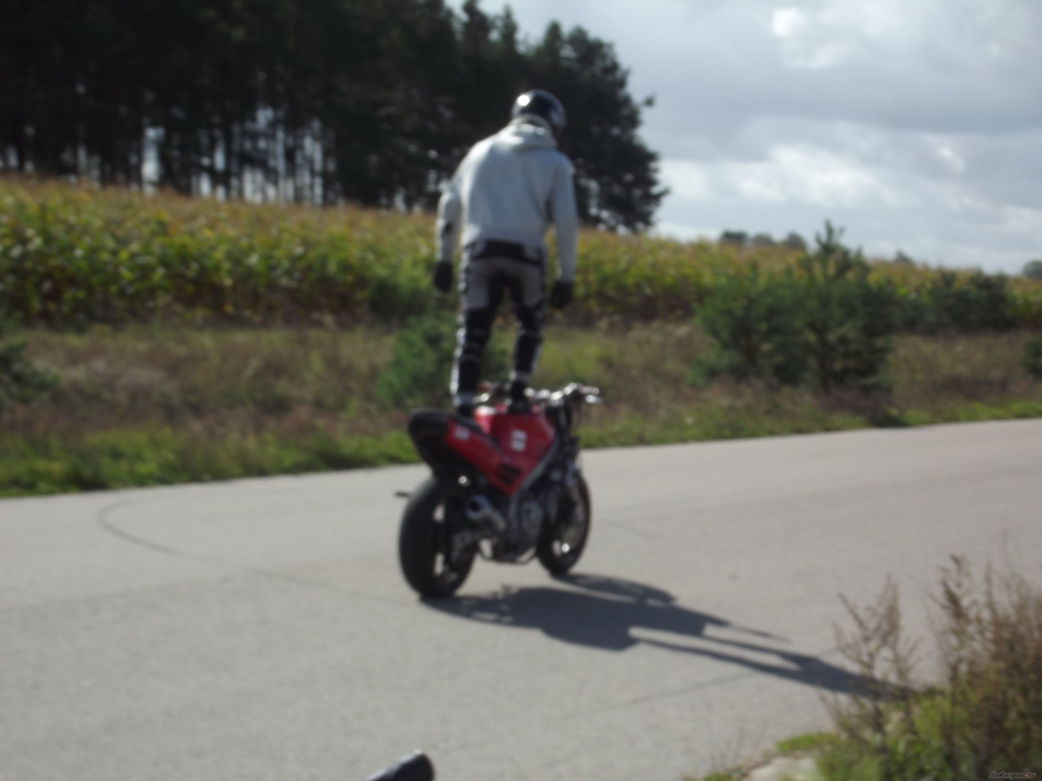 Photo 2278311