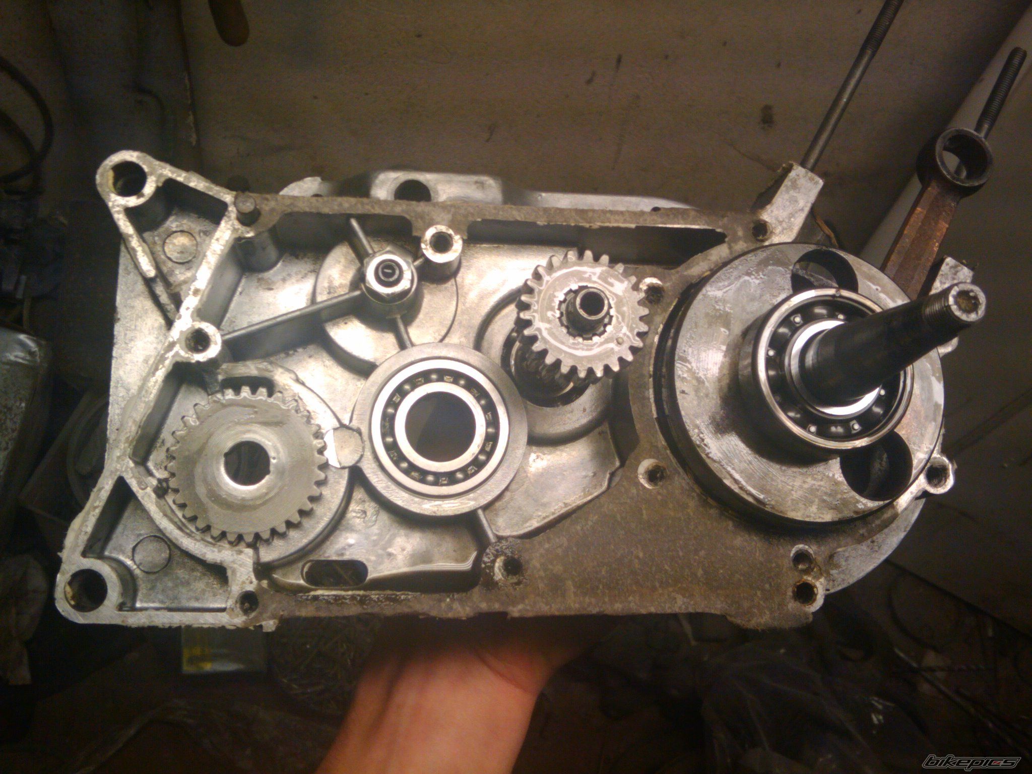 Photo 2278654