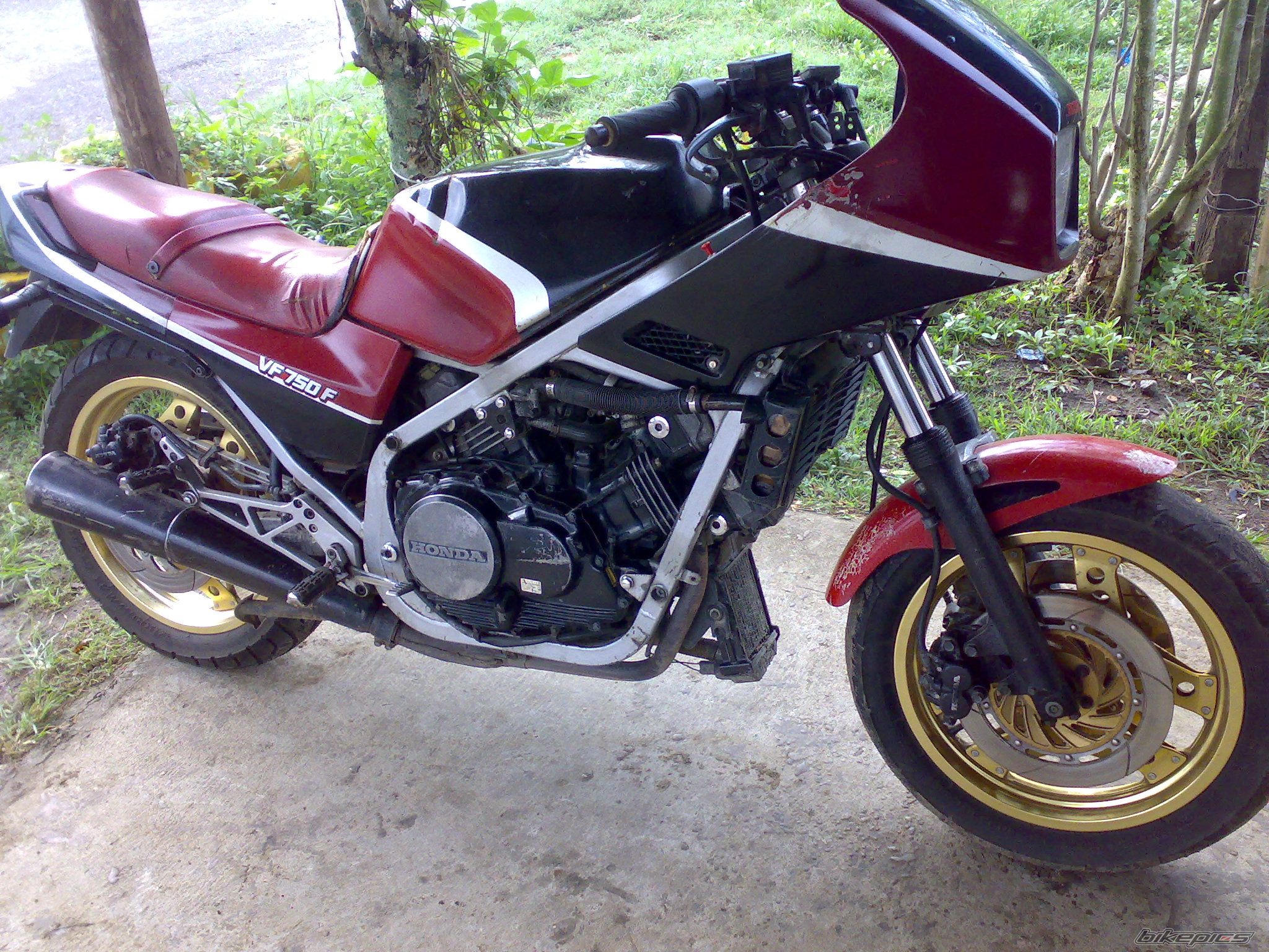 Photo 2279432