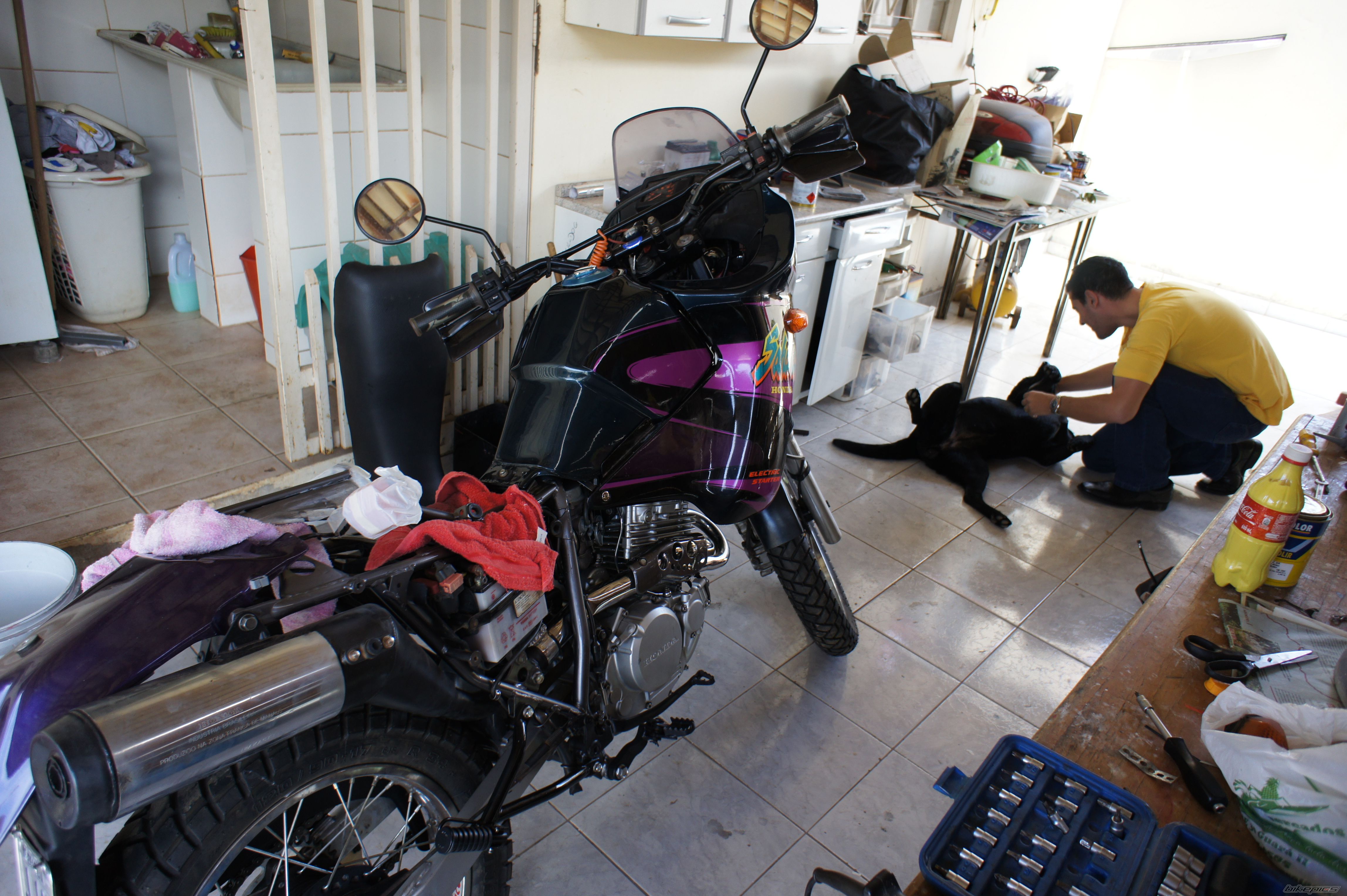 Photo 2279507