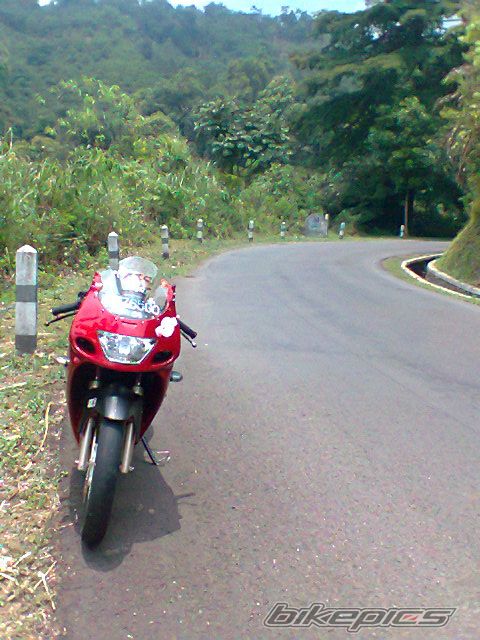 Bike Photo 2280921
