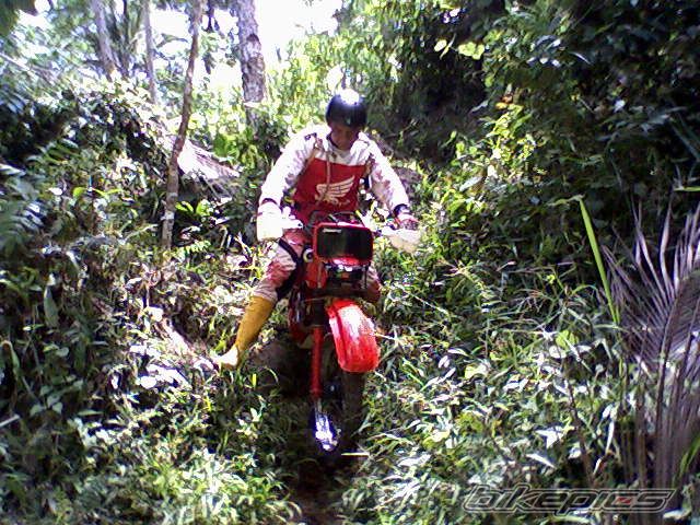 Photo 2283003