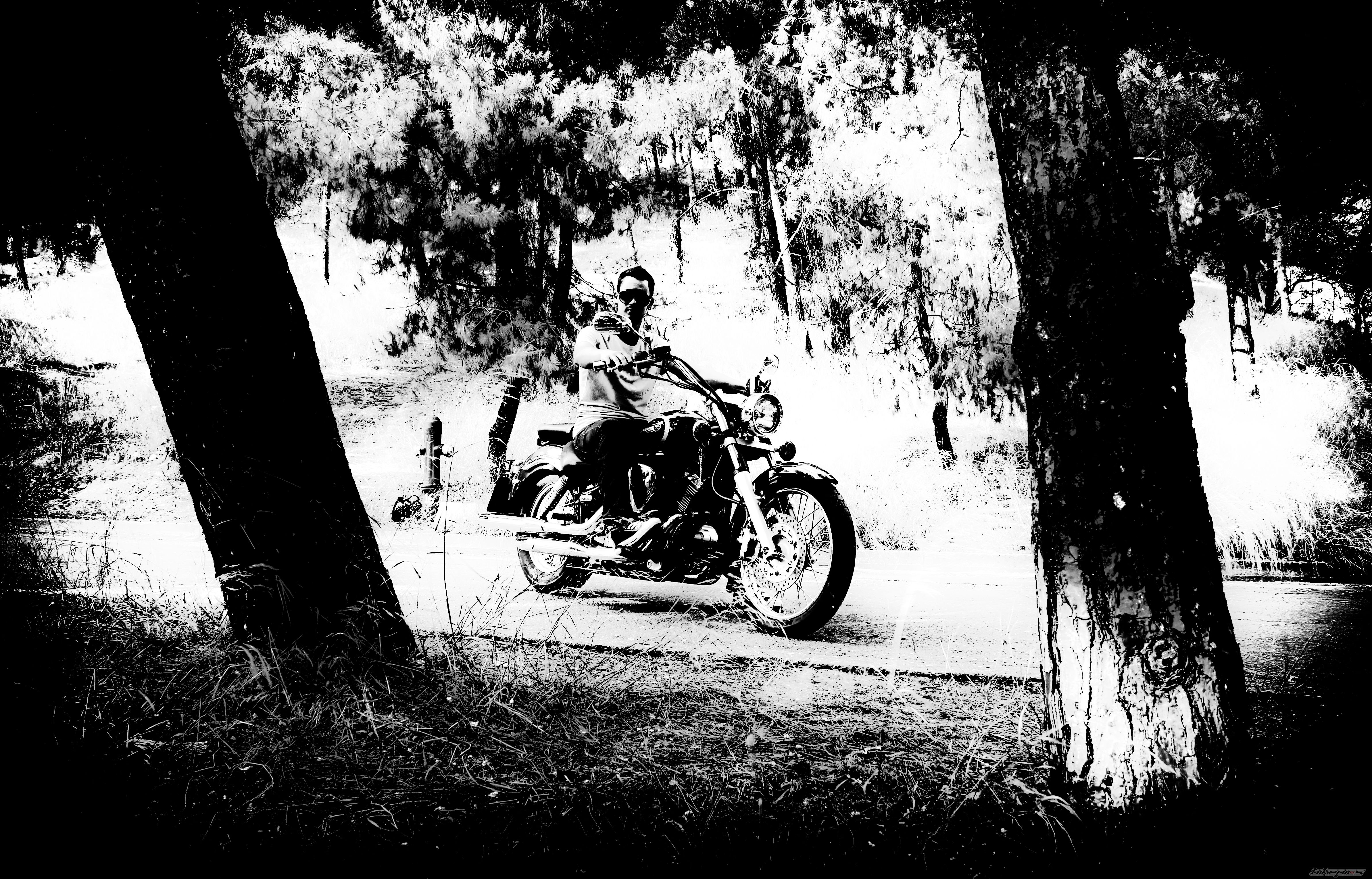 Photo 2284079