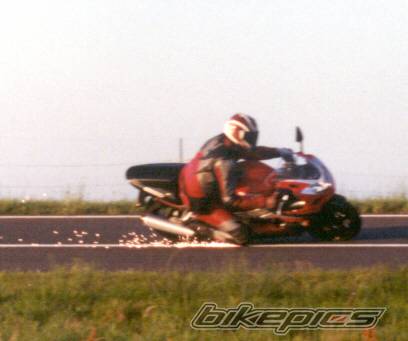 Photo 228561