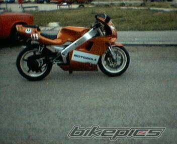 Photo 228573