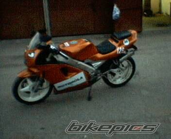 Photo 228574