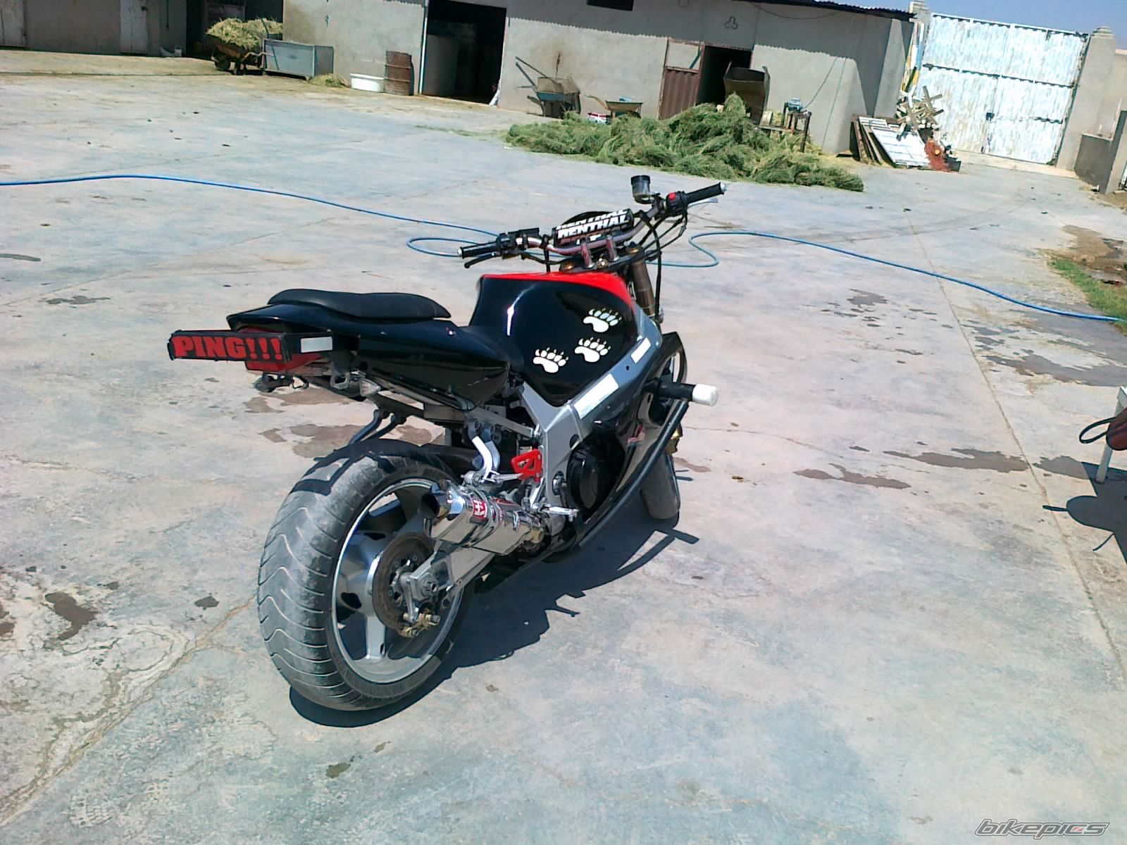 Photo 2288387