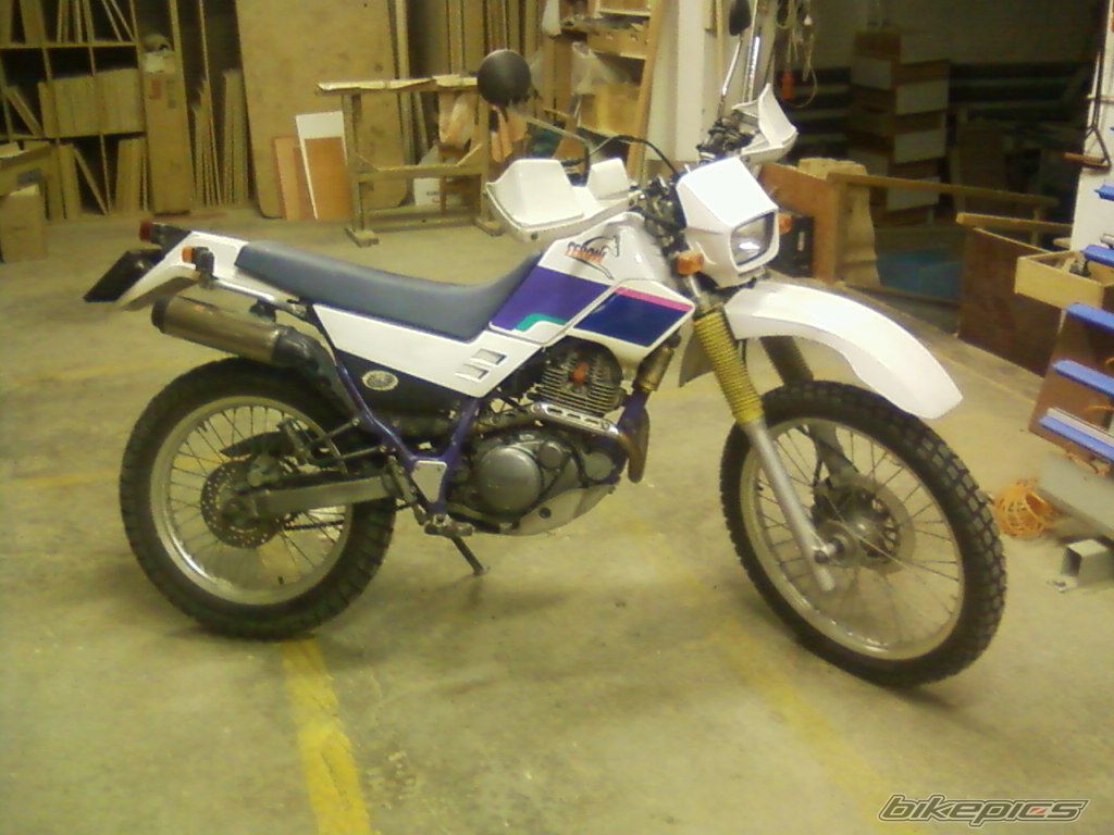 Photo 2288666