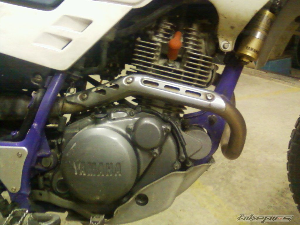 Photo 2288667