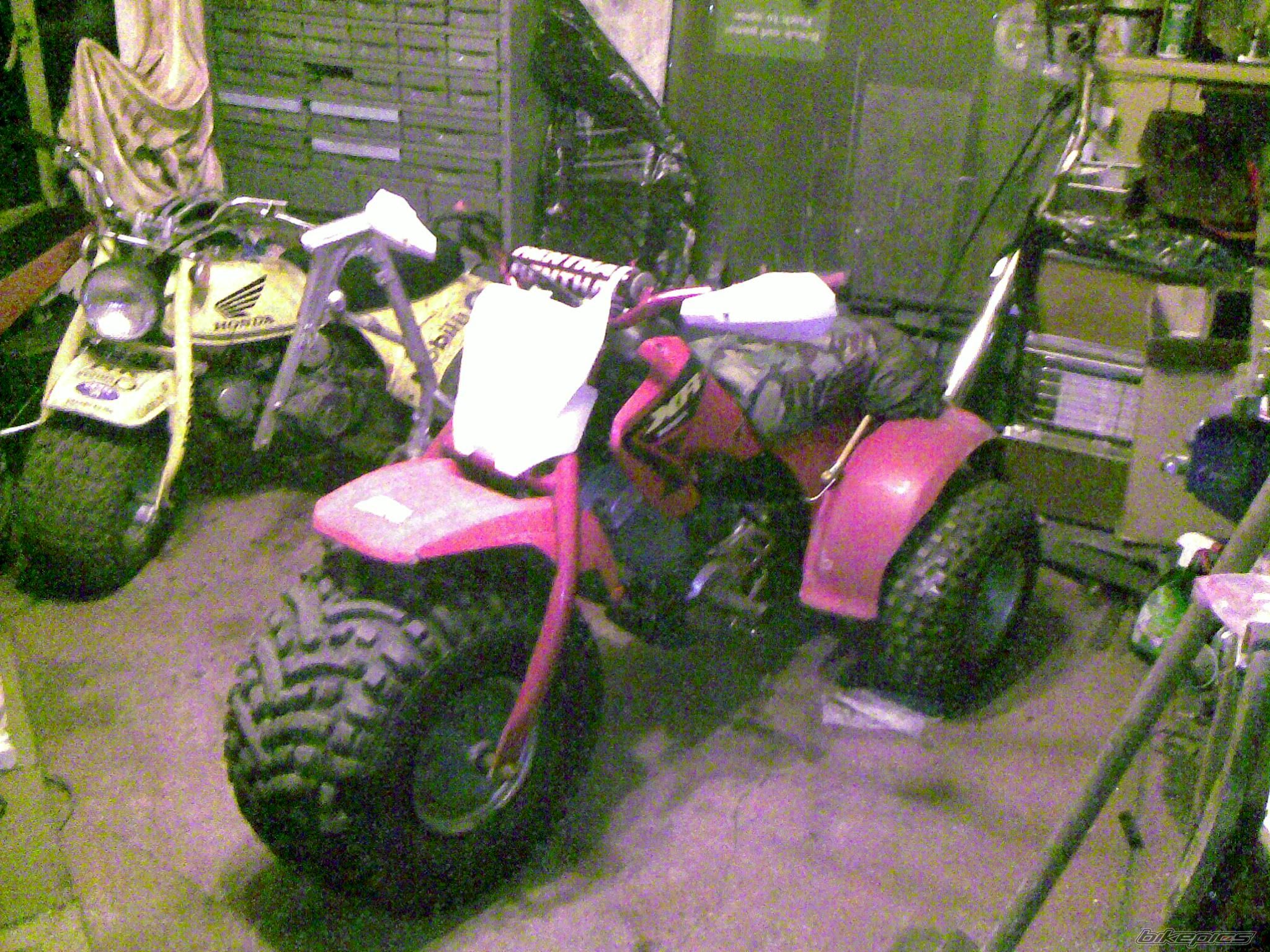 Photo 2288912