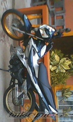 Photo 2289036