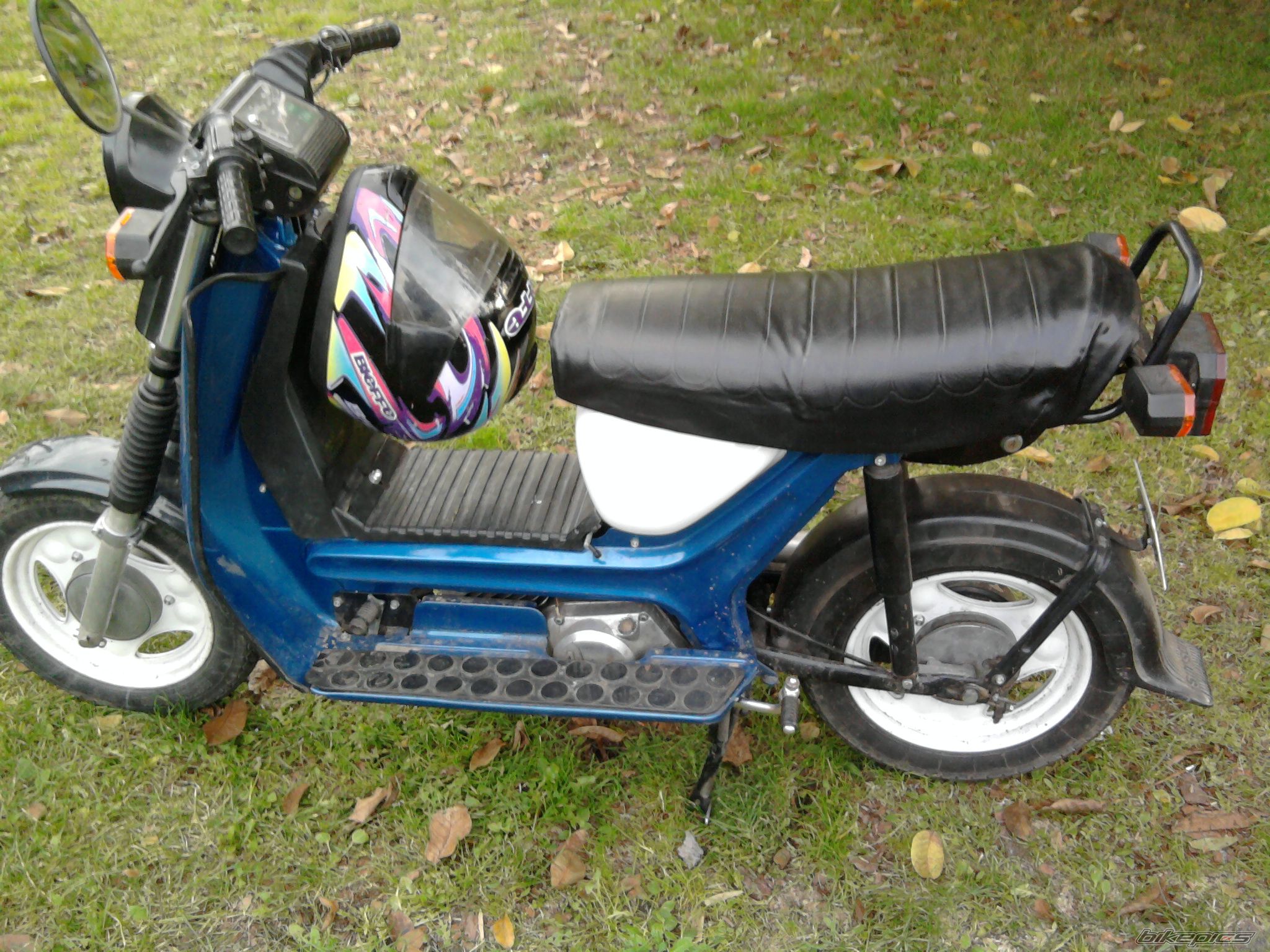 Photo 2291431