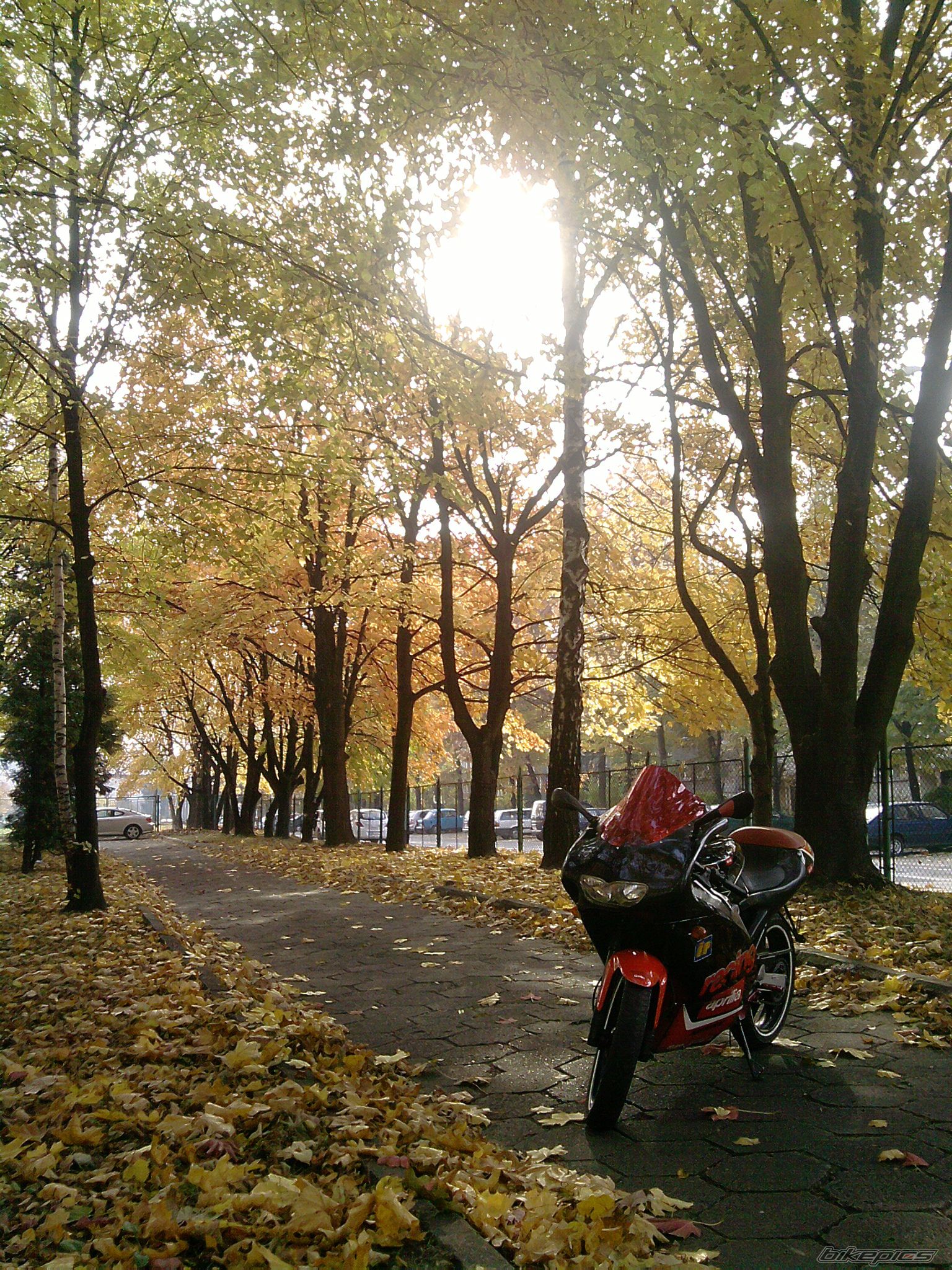 Photo 2294043