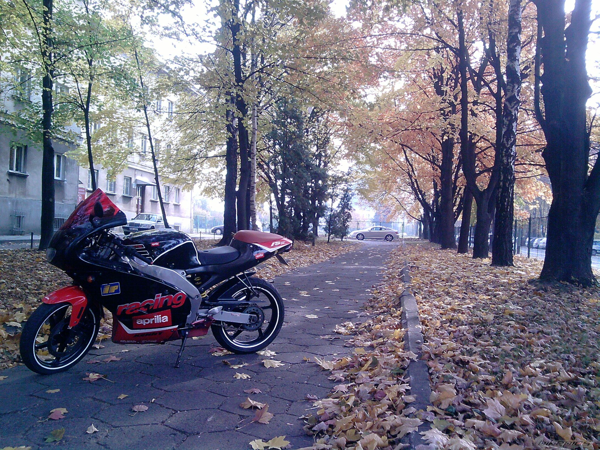 Photo 2294044
