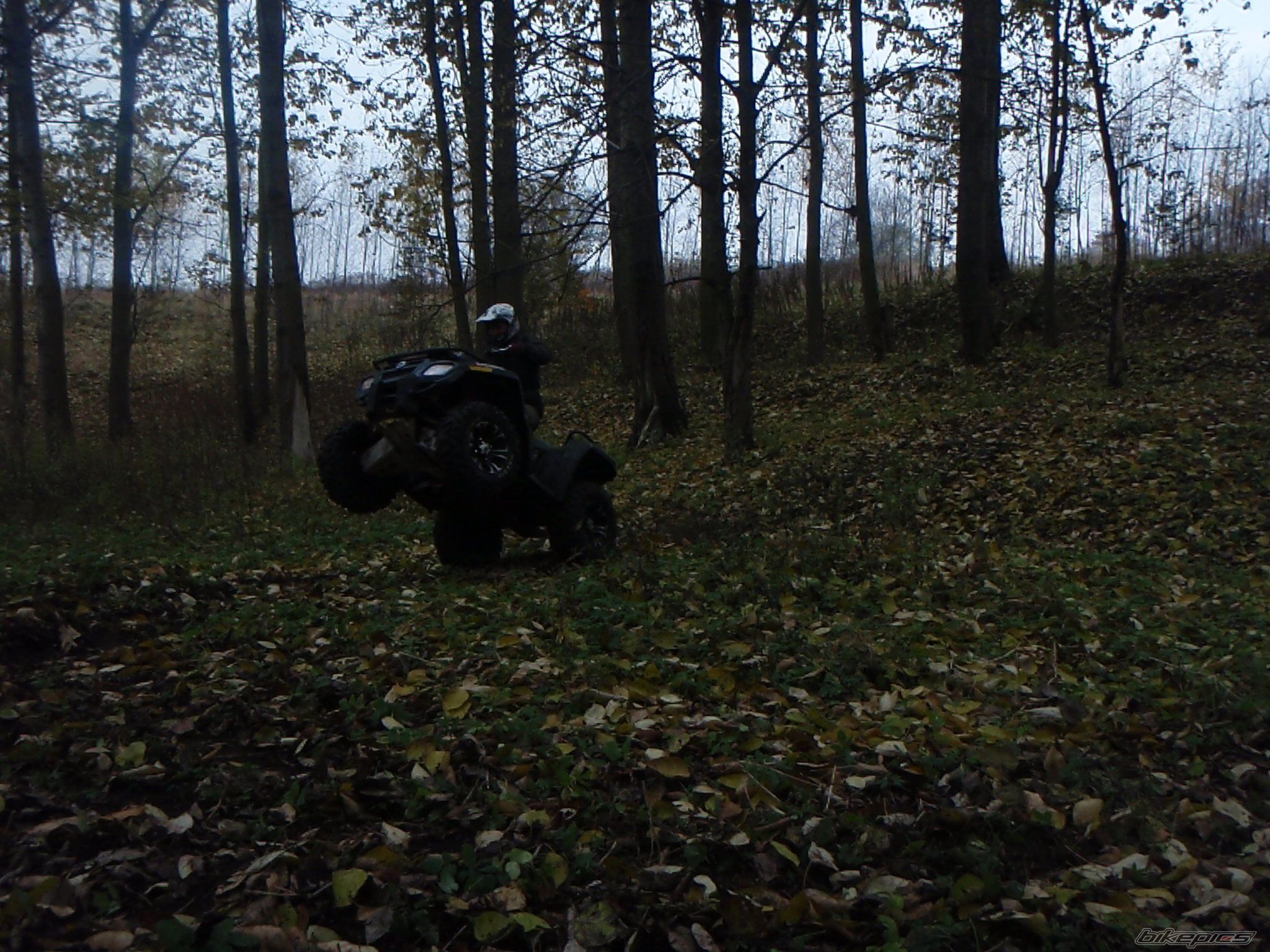 Photo 2294858