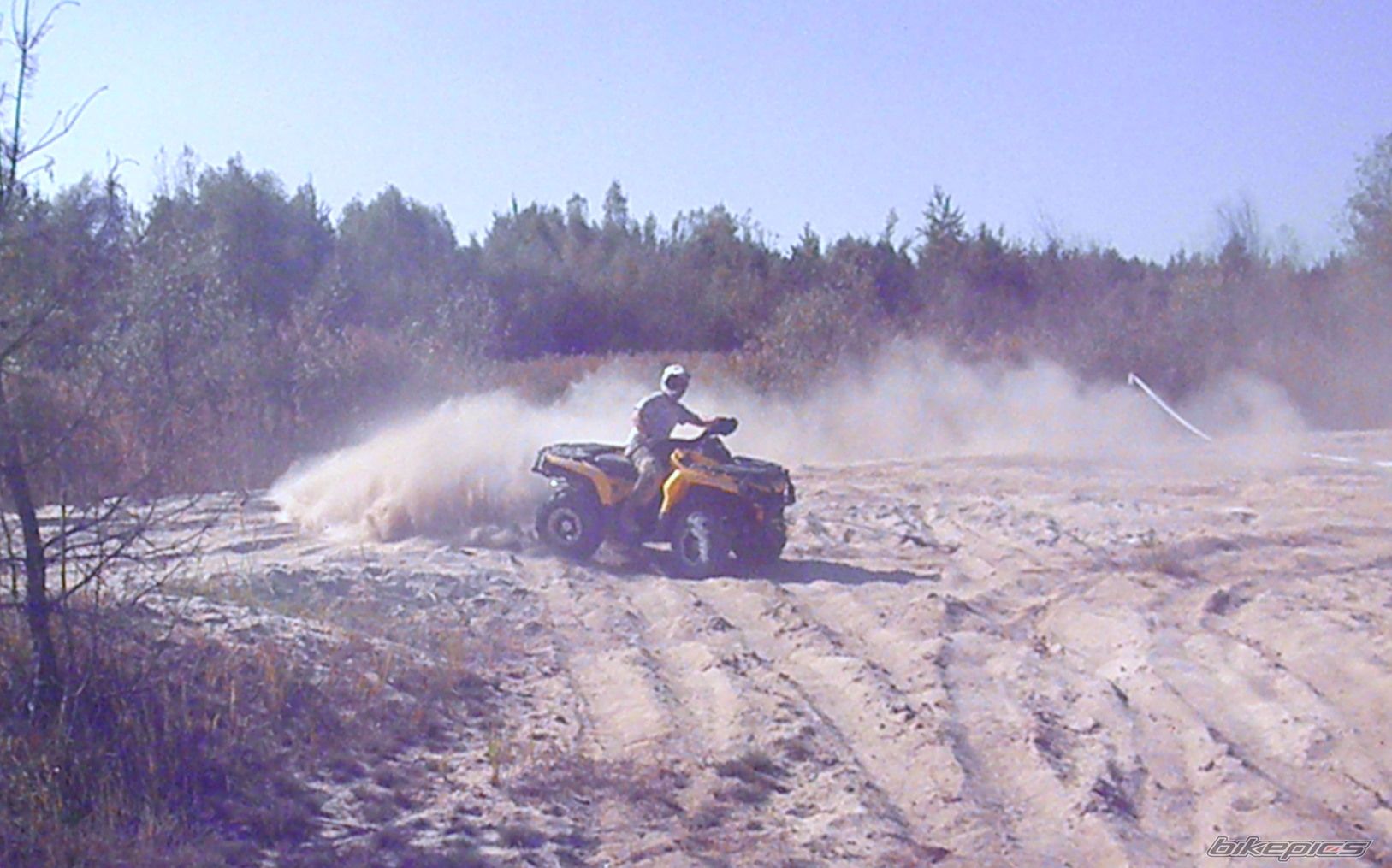 Photo 2295378