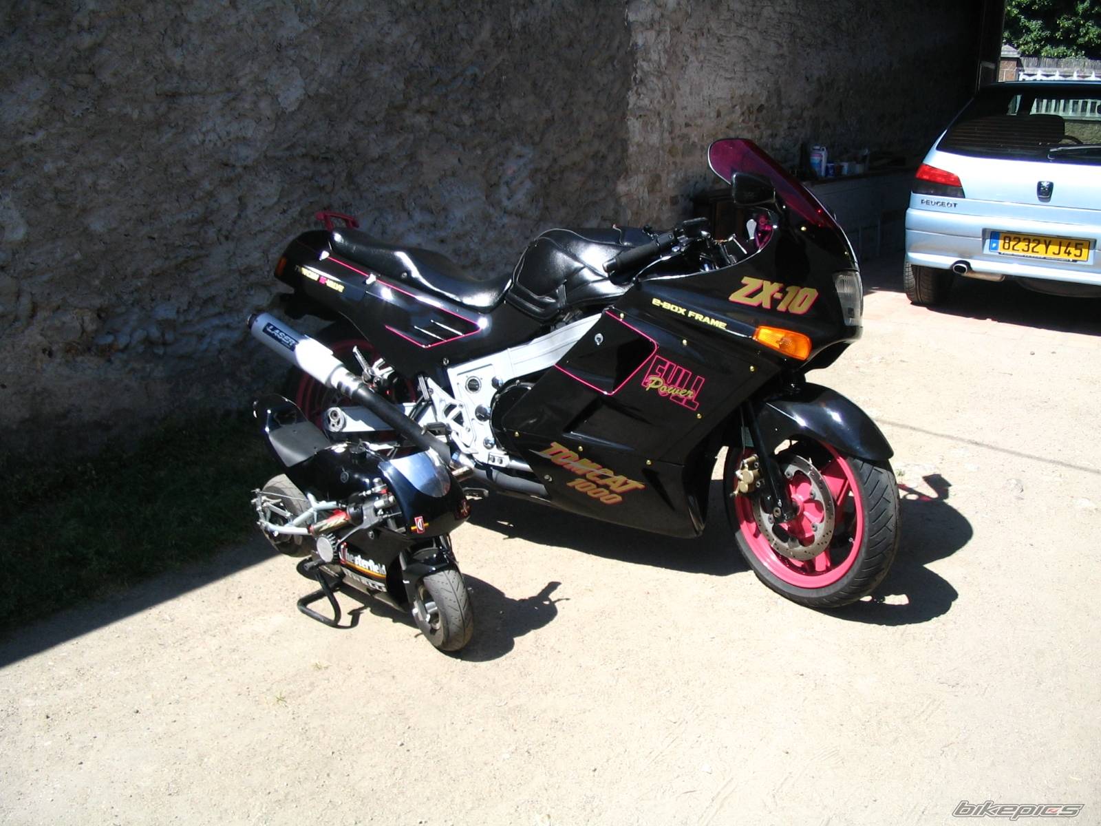 Photo 229630